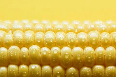 Corn Foto stock