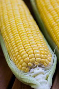 Corn Stock Photos