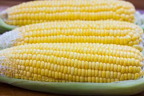 Corn Stock Photos
