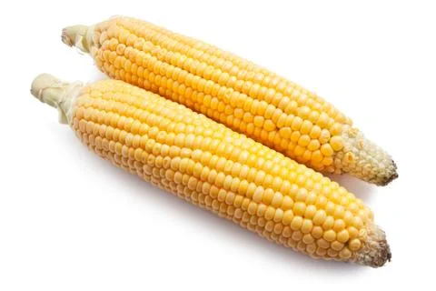 Corn Stock Photos