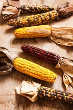 Corn Stock Photos