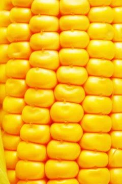 Corn Foto stock
