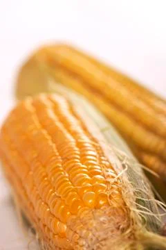 Corn Stock Photos