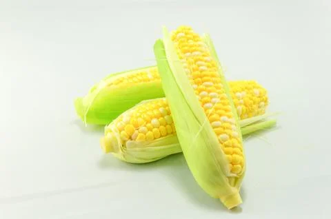 Corn Stock Photos