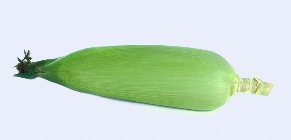 Corn Stock Photos