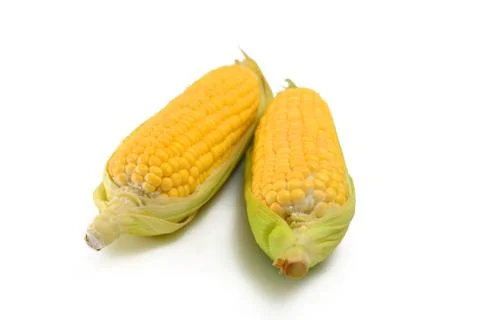 Corn Stock Photos