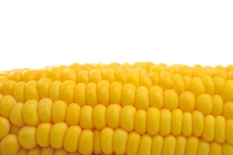 Corn Foto stock