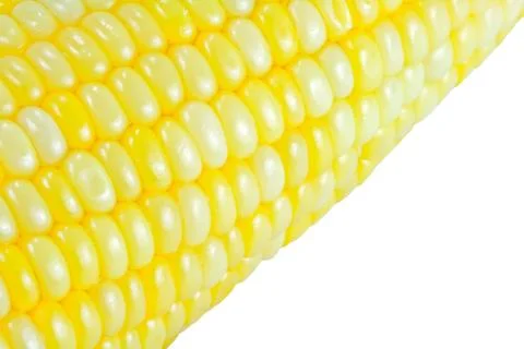 Corn Stock Photos