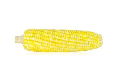 Corn Stock Photos