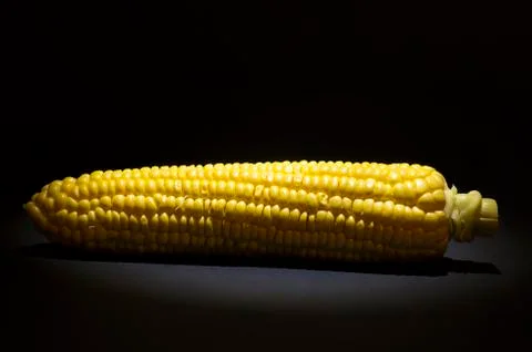 Corn Foto stock