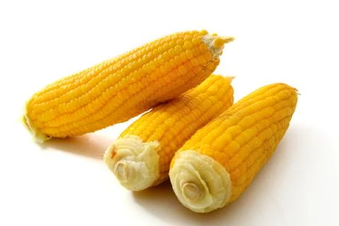 Corn Foto stock