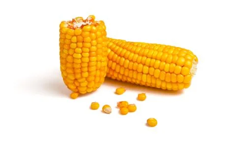 Corn Stock Photos