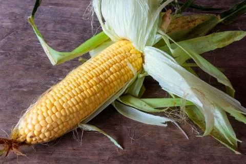 Corn Stock Photos