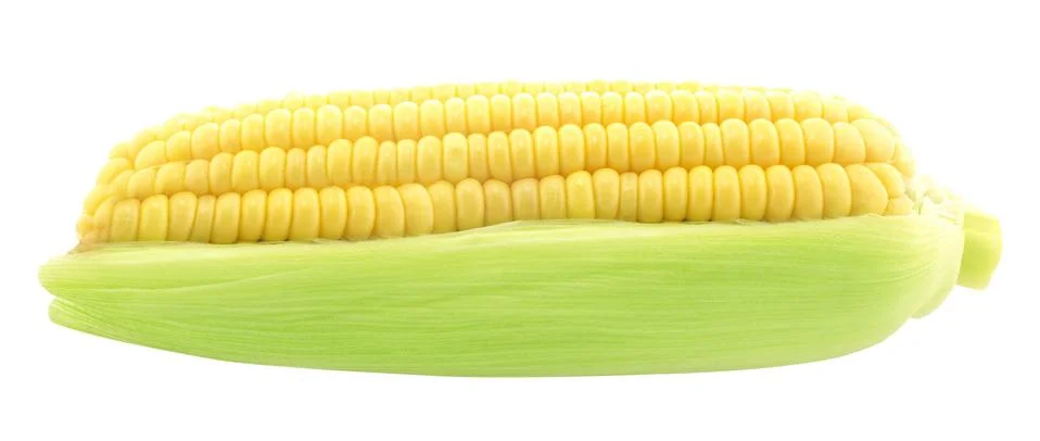 Corn Stock Photos