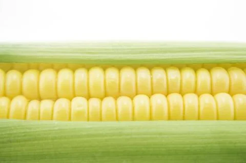 Corn Stock Photos