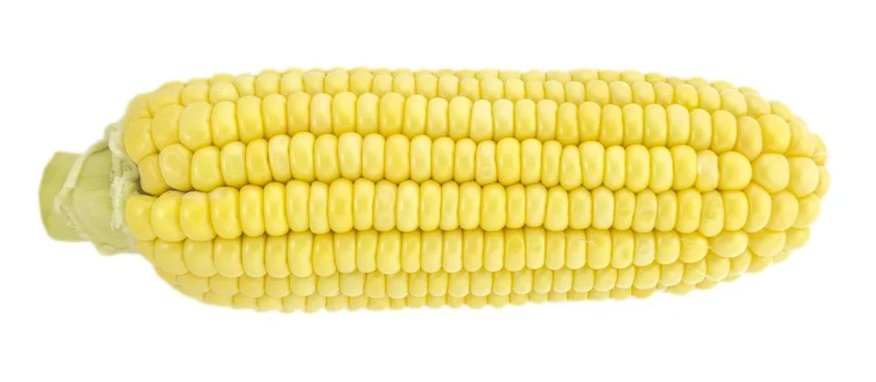 Corn Stock Photos