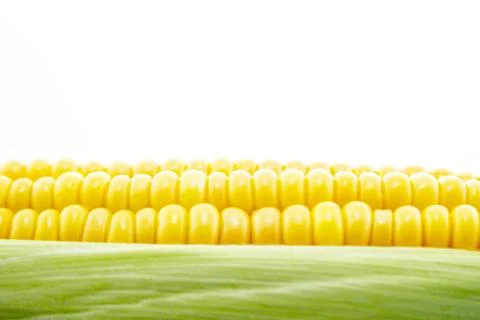 Corn Stock Photos