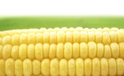 Corn Stock Photos