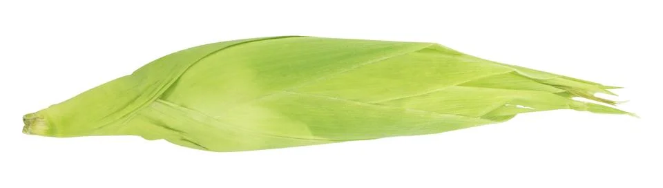 Corn Stock Photos