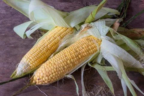 Corn Stock Photos
