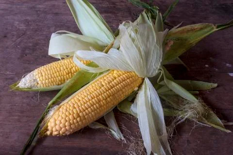 Corn Stock Photos