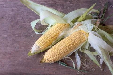 Corn Stock Photos
