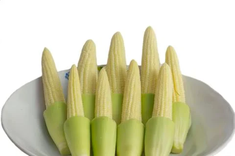 Corn Stock Photos