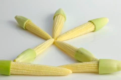 Corn Stock Photos