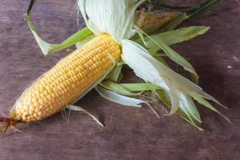 Corn Stock Photos