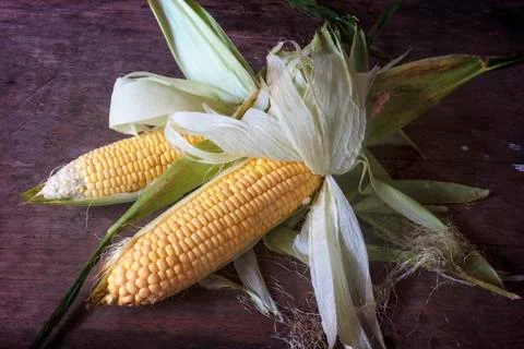 Corn Stock Photos