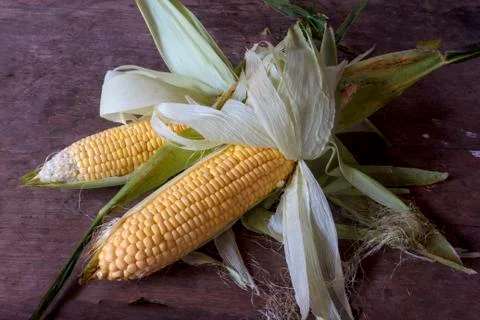Corn Stock Photos