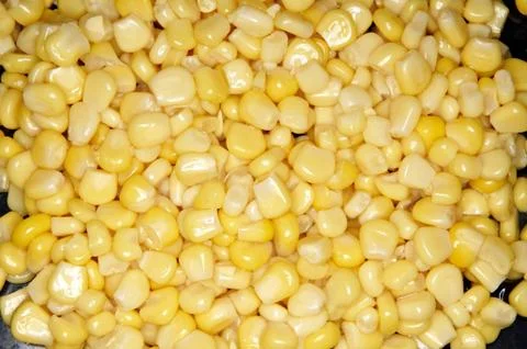 Corn Foto stock