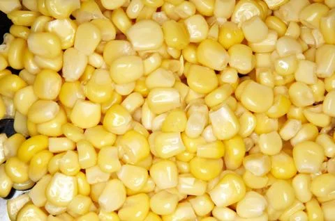 Corn Stock Photos