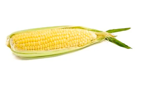 Corn Stock Photos