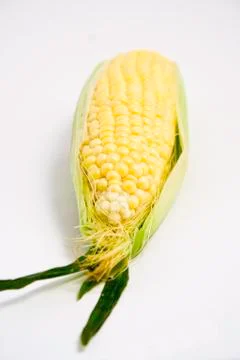 Corn Stock Photos