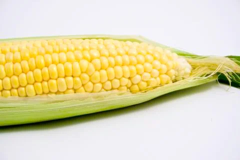 Corn Stock Photos