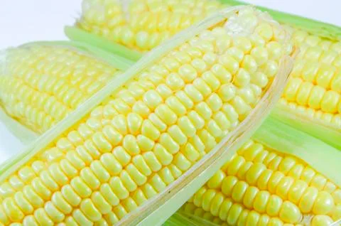 Corn Stock Photos