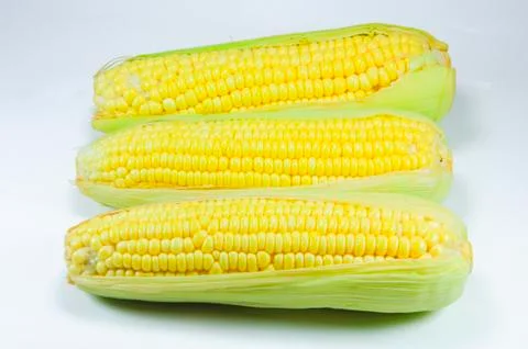 Corn Stock Photos