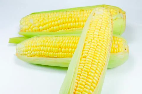 Corn Stock Photos
