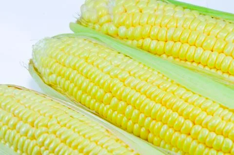 Corn Stock Photos