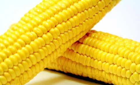 Corn Foto stock