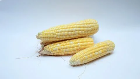 Corn Stock Photos