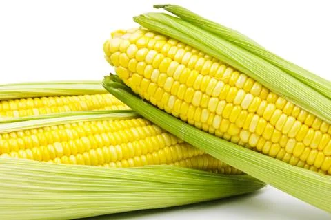 Corn Stock Photos
