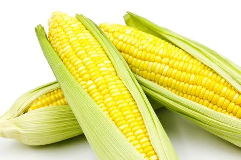 Corn Stock Photos