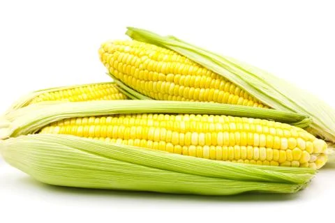 Corn Stock Photos