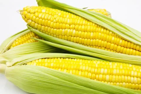 Corn Stock Photos