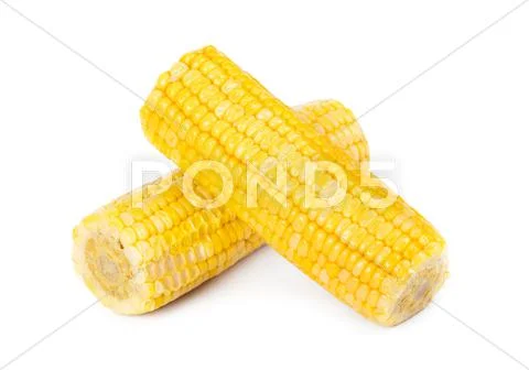 Corn Stock Photos