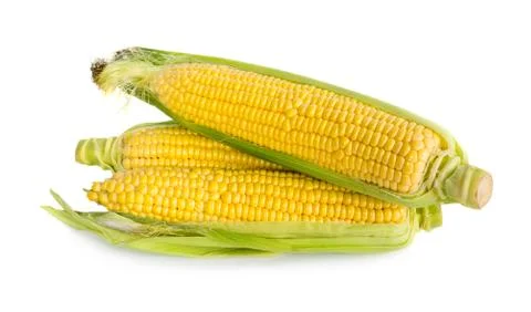 Corn Stock Photos