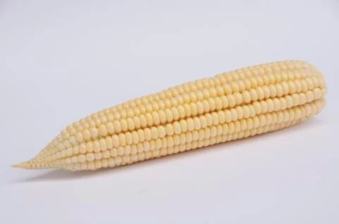 Corn Foto stock