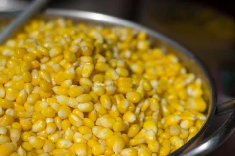Corn Stock Photos